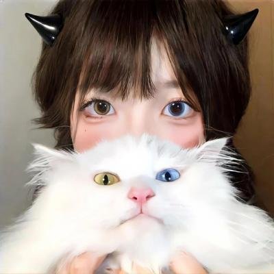 司少请恕夫人无罪